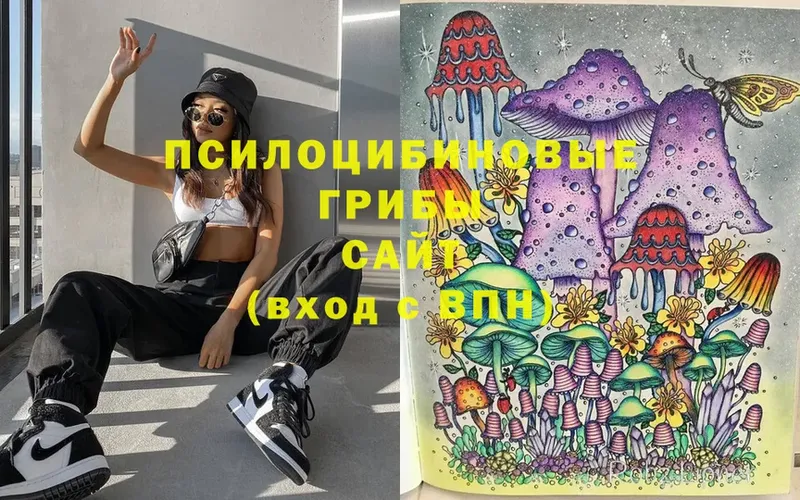 Галлюциногенные грибы Magic Shrooms  Ворсма 